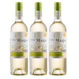 10. Vinho Branco Meio Seco Sauvignon Blanc 750ml - Maipo Mi Pueblo